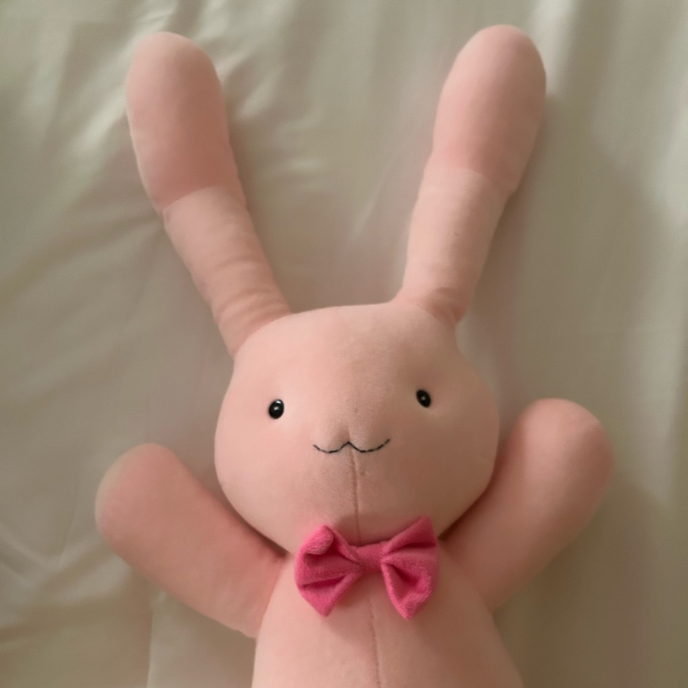 Usa-Chan Bunny Plushie